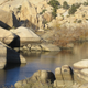 Image for article titled Book Review: Joshua Tree National Park Geology